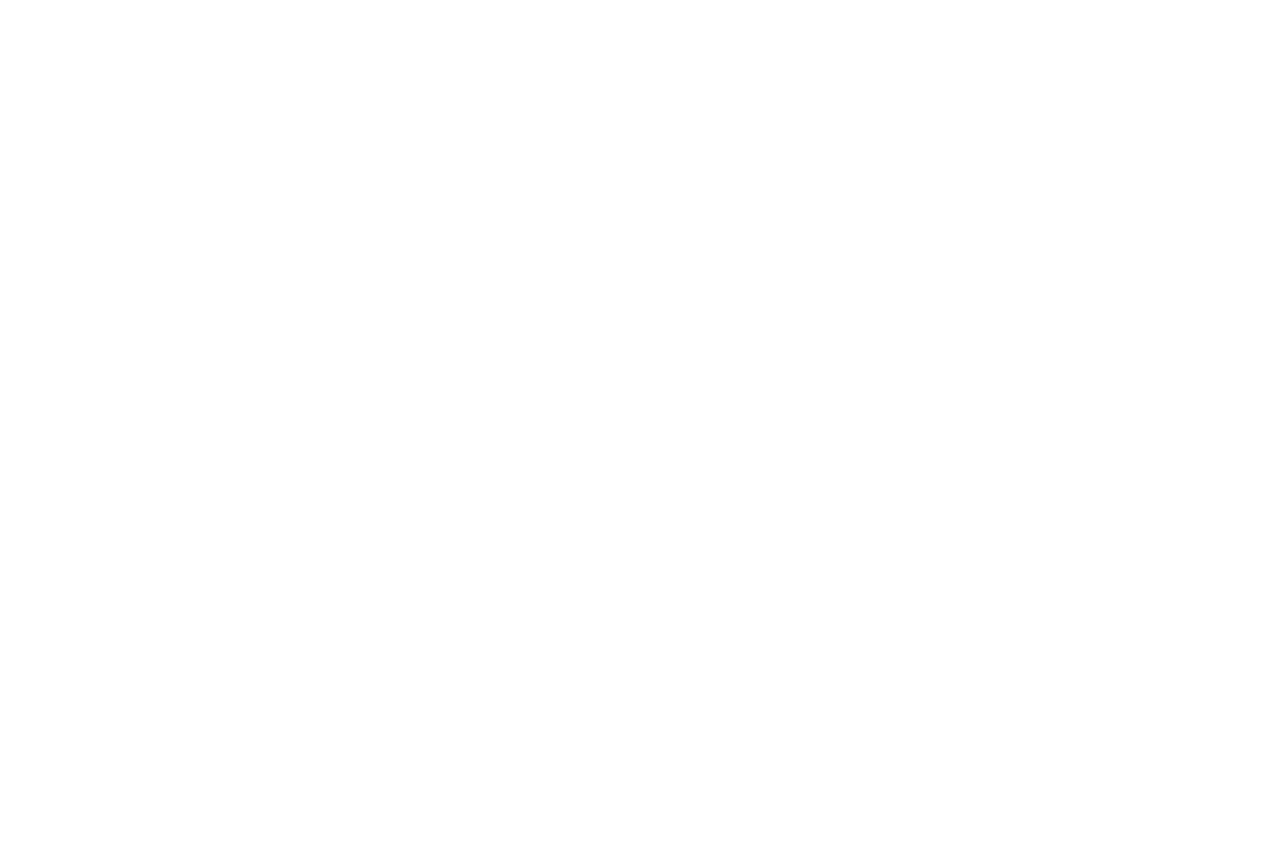 Lead Magnet